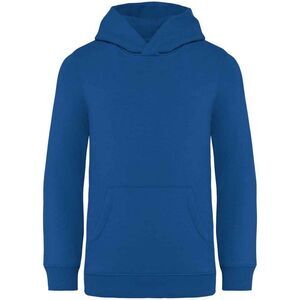 Native Spirit Childrens/Kids Hoodie / Sea Blue